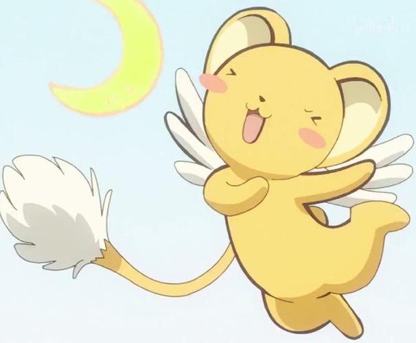 小可搜搜App如何搜索投资机会 小可搜搜App的项目发现功能