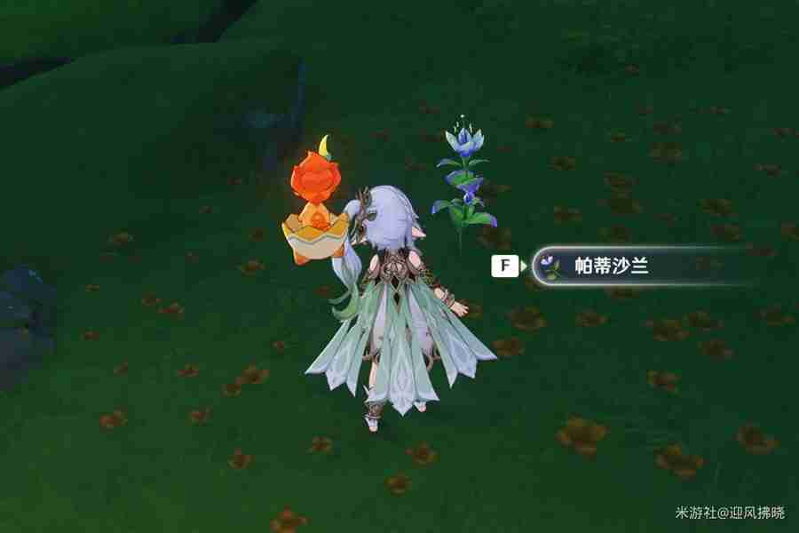 原神帕蒂沙兰全收集路线