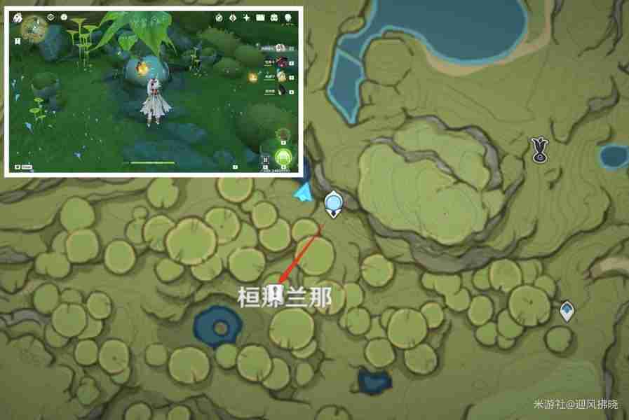 原神帕蒂沙兰全收集路线