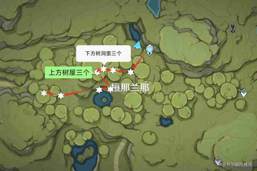 原神帕蒂沙兰全收集路线