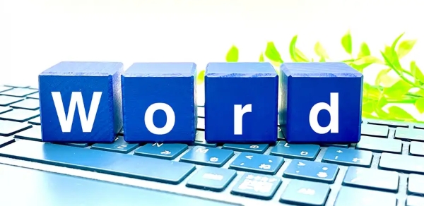 PDF图片提取到Word教程
