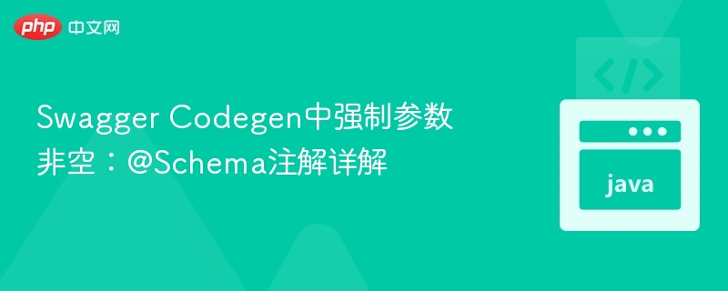 Swagger Codegen强制参数非空方法