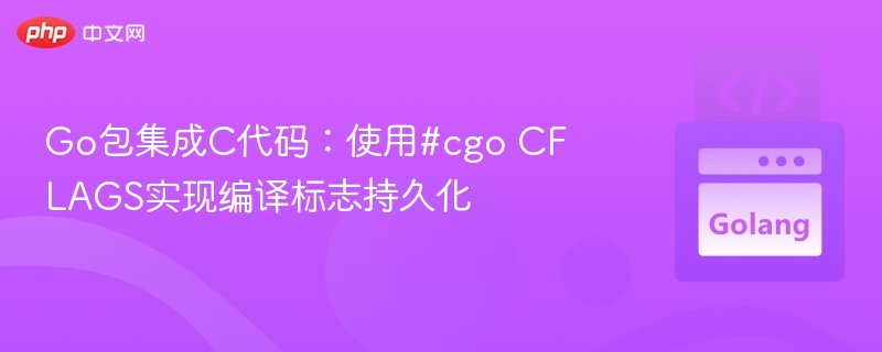 Go调用C代码：#cgo CFLAGS持久化设置方法