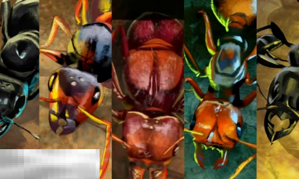 地下蚁国兑换码分享 地下蚁国最新2025兑换码大全