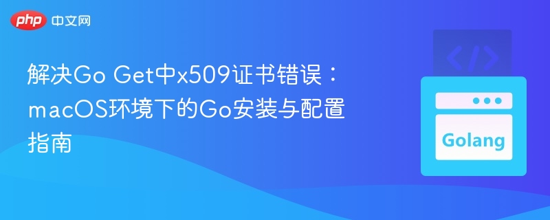 Go安装配置：解决x509证书错误指南