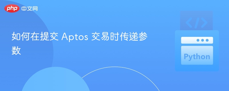 如何在提交 Aptos 交易时传递参数