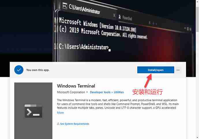 Windows Terminal 安装和运行