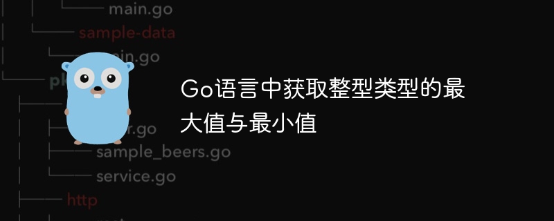 Go语言中获取整型类型的最大值与最小值
