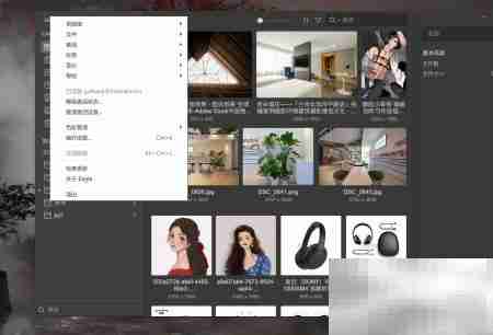 Win10用EAGLE截图教程
