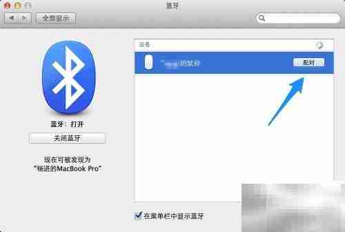 Magic Mouse 使用指南