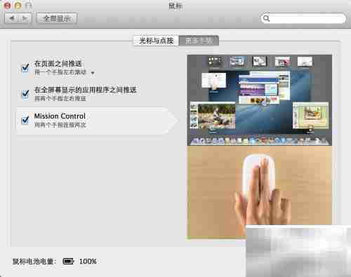 Magic Mouse 使用指南