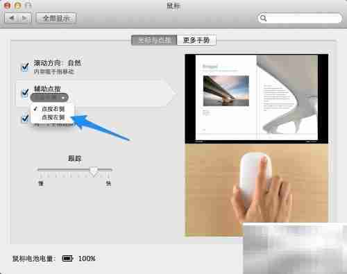 Magic Mouse 使用指南