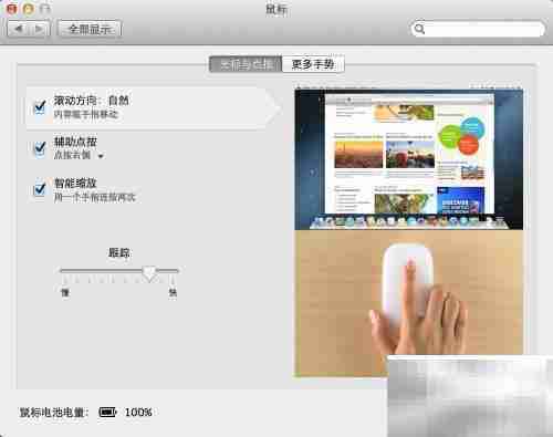 Magic Mouse 使用指南