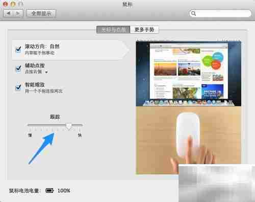 Magic Mouse 使用指南
