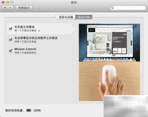 Magic Mouse 使用指南