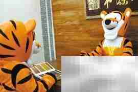 高效工作汇报技巧