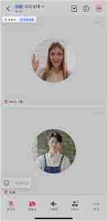 Lark视频通话花屏如何解决