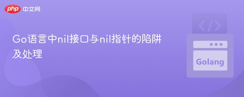 nil接口与nil指针的陷阱解析