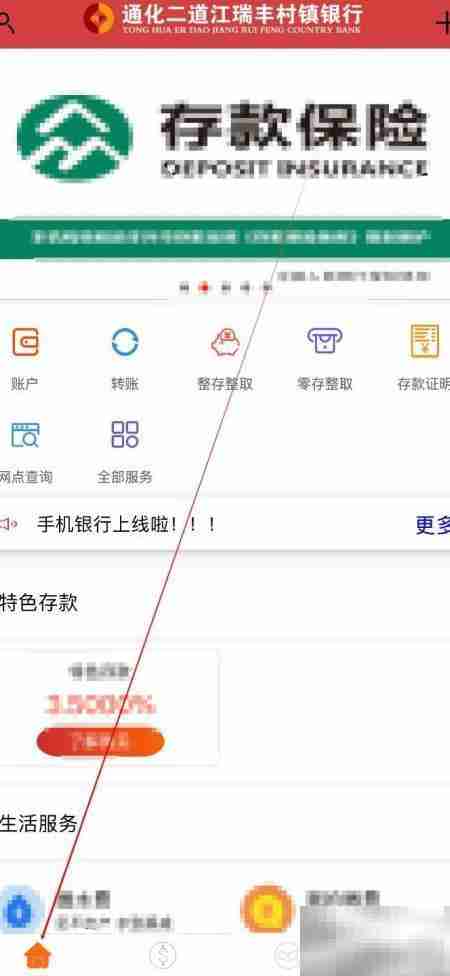 通化二道江瑞丰银行查资产