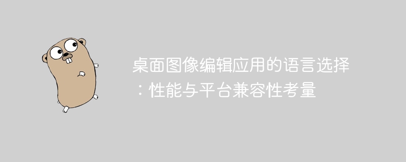 桌面图像编辑软件语言选择指南