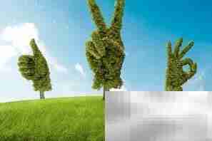 保护视力,从日常做起