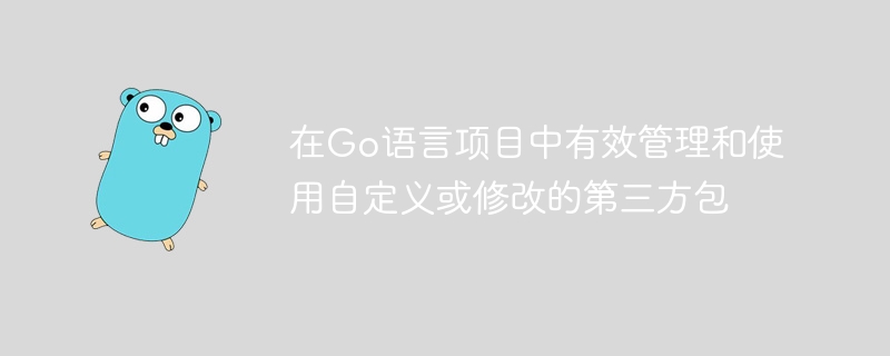 Go项目中自定义第三方包管理技巧
