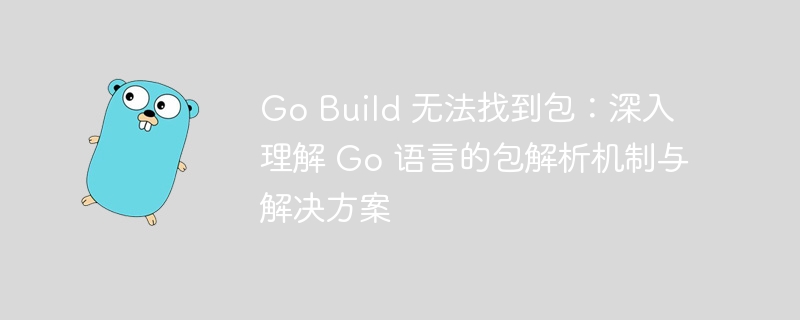 Go Build 找不到包？详解包解析与解决方法