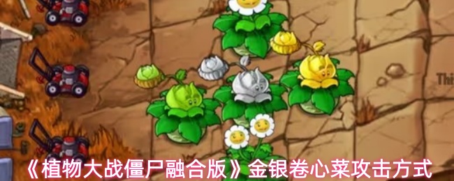 《植物大战僵尸融合版》金银卷心菜攻击方式