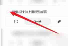 夸克浏览器如何切换到成人模式