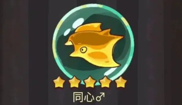 《咸鱼之王》最全金鱼兑换指南