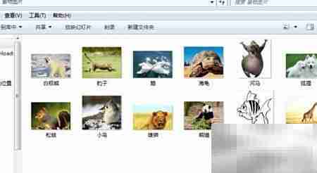 Excel批量导入图片神器