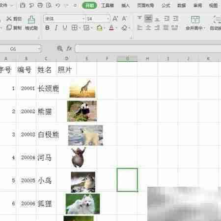 Excel批量导入图片神器