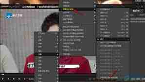 PotPlayer如何实现同步字幕