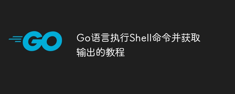 Go语言执行Shell命令及获取输出教程