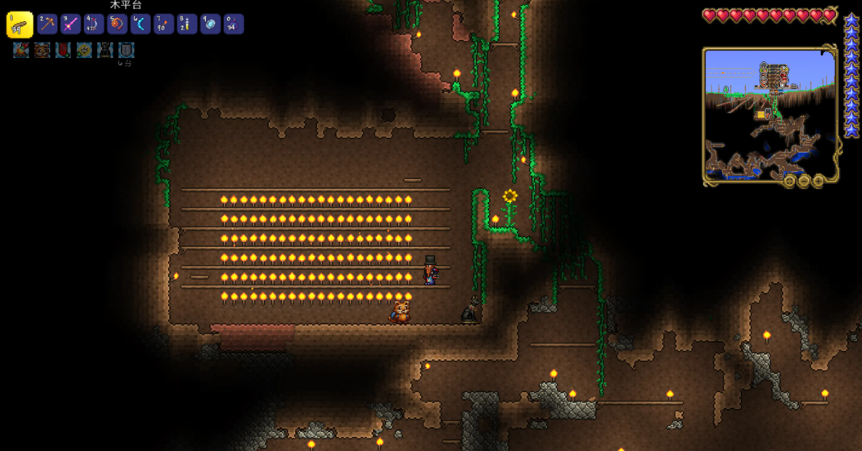 《泰拉瑞亚》稀有成就达成条件