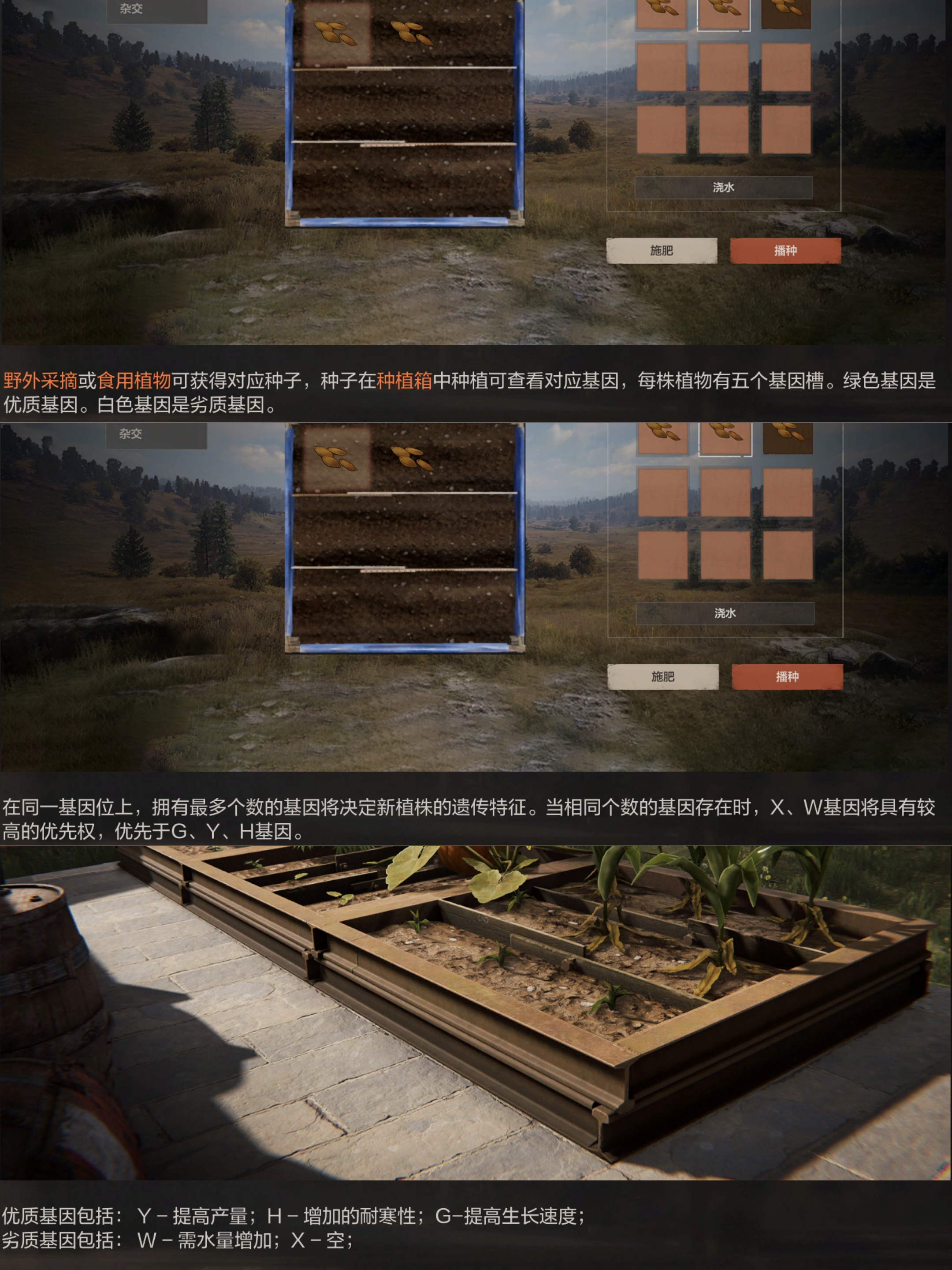 《失控进化》种植基因搭配方法