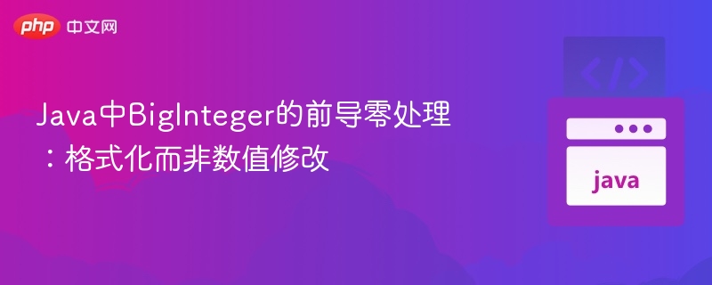 BigInteger前导零处理技巧