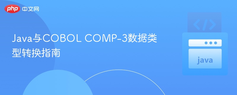 Java与COBOL COMP-3转换方法
