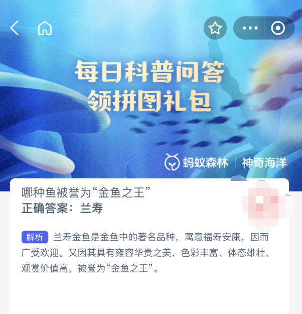 哪种鱼被誉为金鱼之王