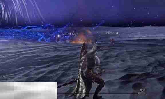 艾尔登法环黑夜降临最终boss战 怎么才能击败黑夜王布德奇冥