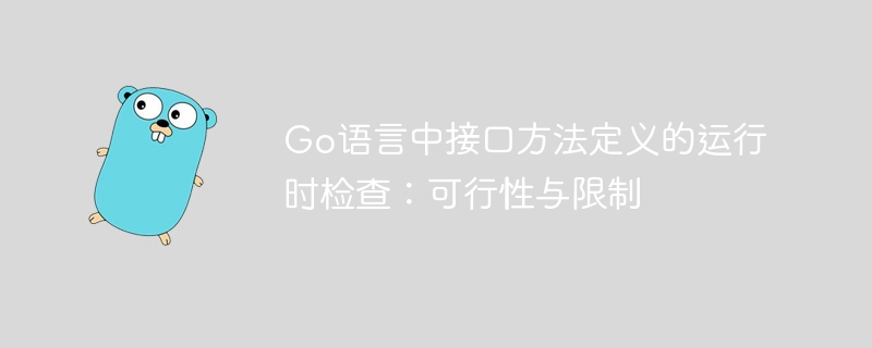 Go接口方法运行时检查：可行与限制分析