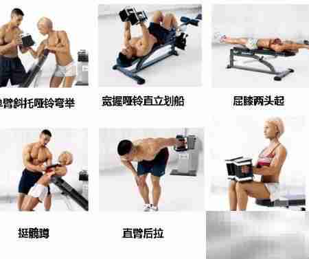 哑铃锻炼全攻略