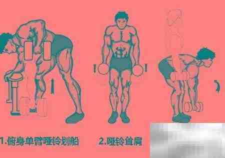 哑铃锻炼全攻略