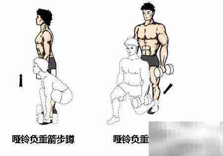 哑铃锻炼全攻略