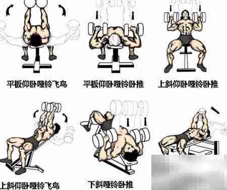 哑铃锻炼全攻略