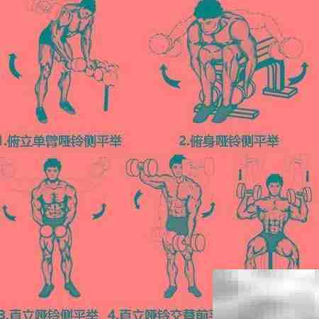 哑铃锻炼全攻略