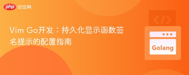 Vim Go函数签名提示配置指南