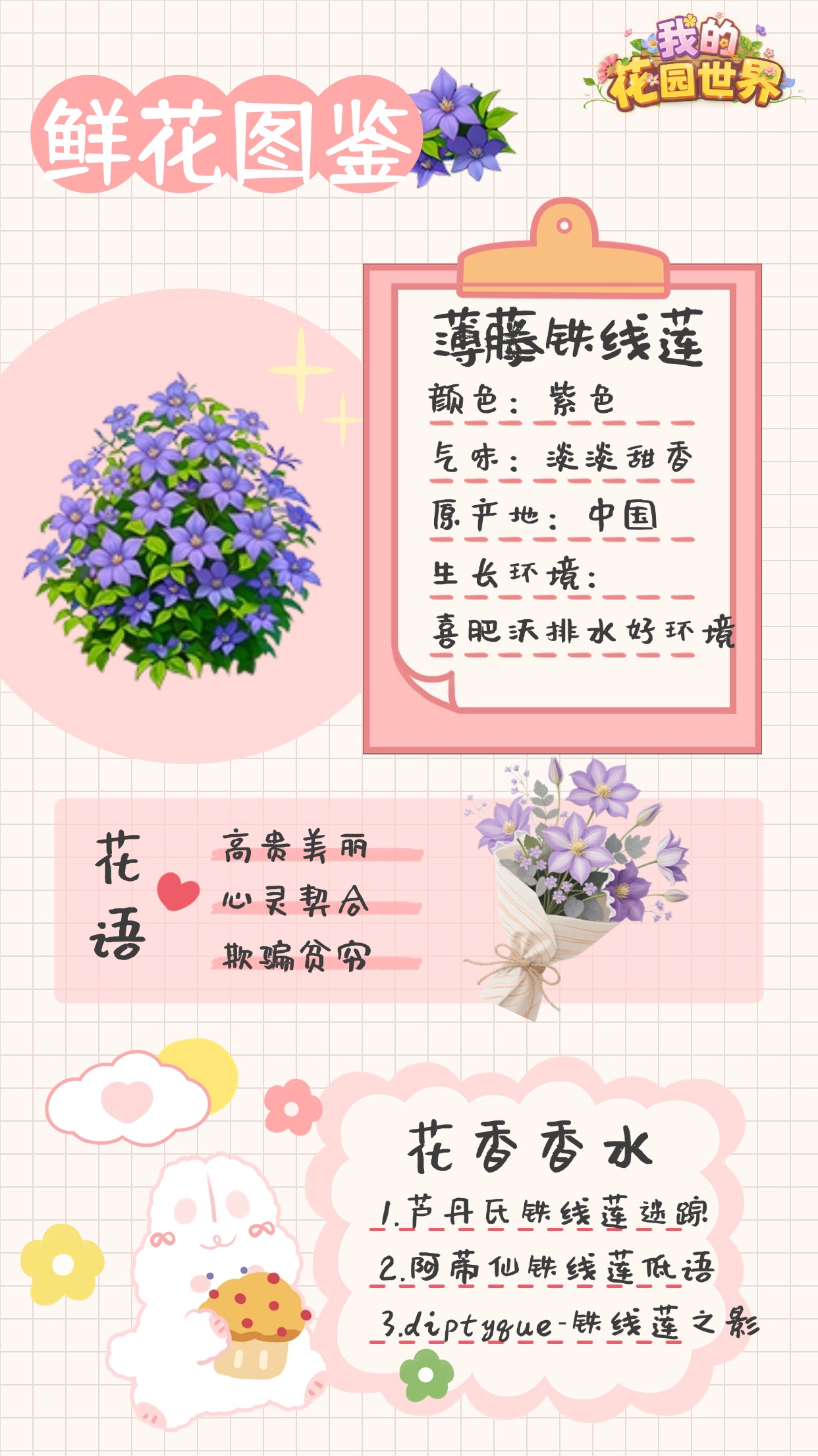 我的花园世界薄藤铁线莲图鉴