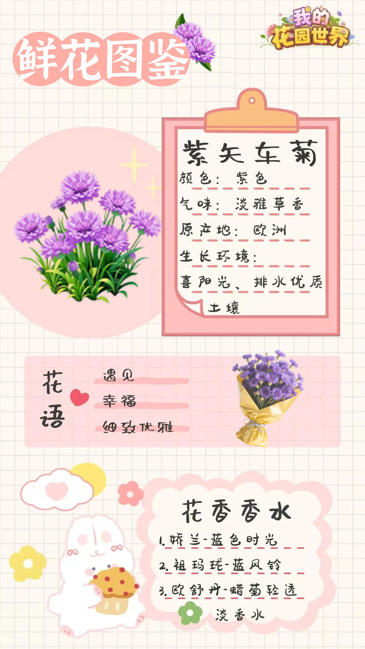我的花园世界紫矢车菊图鉴