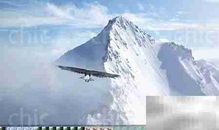 QuickTime剪裁视频教程